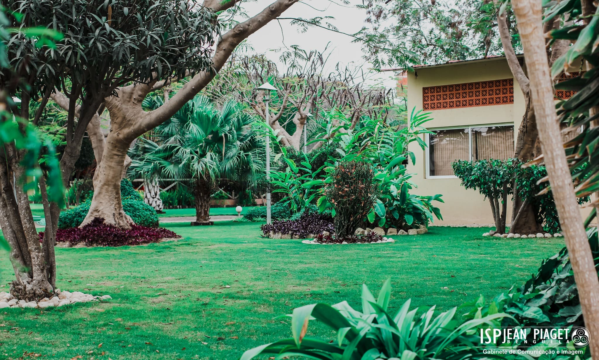 Campus 1